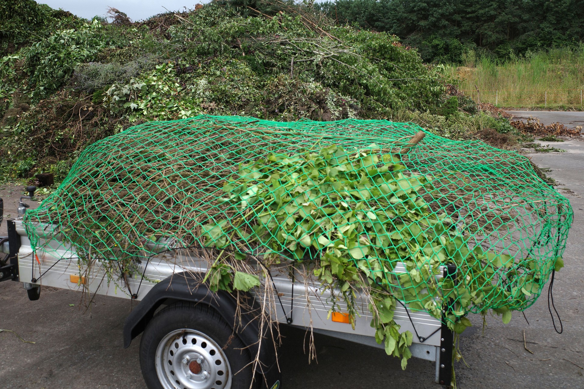 Recycling pruning waste